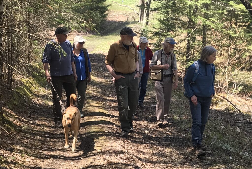 Several people walking on trail with a dog to give visual of cabot trails